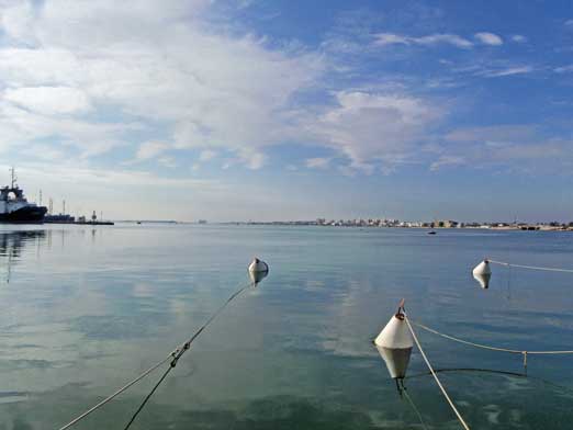 P6051908